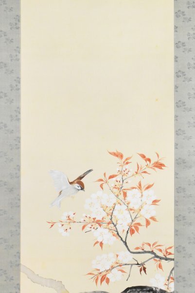 K7452 真作 徳永観林「桜花雀図」絹本 共箱 肉筆 鈴木華邨師事 スズメ
