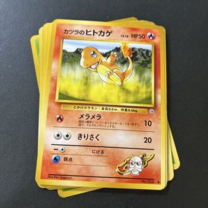 カツラのヒトカゲの値段と価格推移は？｜13件の売買データからカツラの