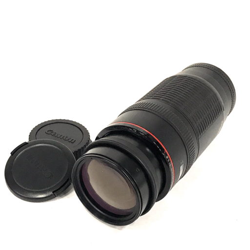 CANON EF100-300mmの値段と価格推移は？｜100件の売買データからCANON