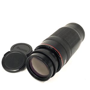 CANON EF100-300mmの値段と価格推移は？｜100件の売買データからCANON