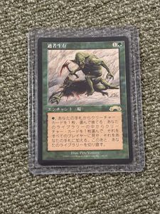 MTG 適者生存の値段と価格推移は？｜4件の売買データからMTG 適者生存
