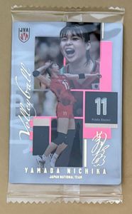 山田二千華の値段と価格推移は？｜96件の売買データから山田二千華の