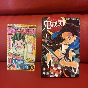 ジャンパラの値段と価格推移は？｜280件の売買データからジャンパラの