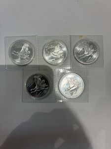 皇太子殿下御成婚 純銀の中古価格は7,080円｜記念硬貨の新品・中古の