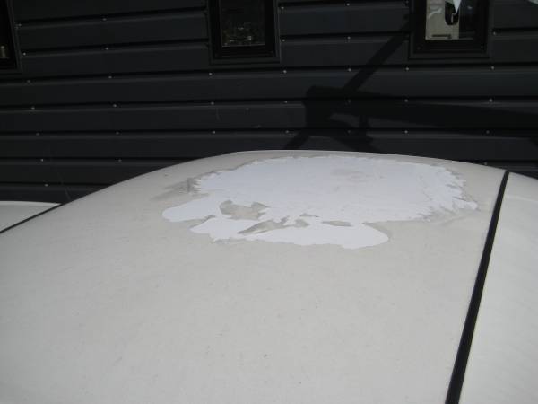 激レア　シルビアヴァリエッタ 2.0_2