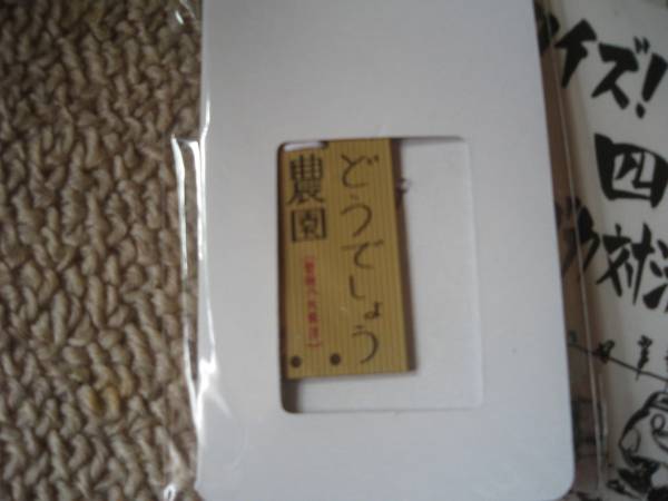 ★新品！水曜どうでしょうノベルティハガキ・プレート★非売品_2