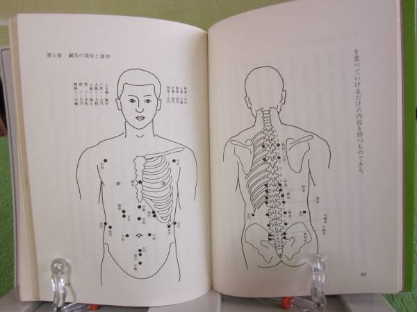 針灸ノートブック 沢田流秘伝経穴公開(東洋医学)｜売買された