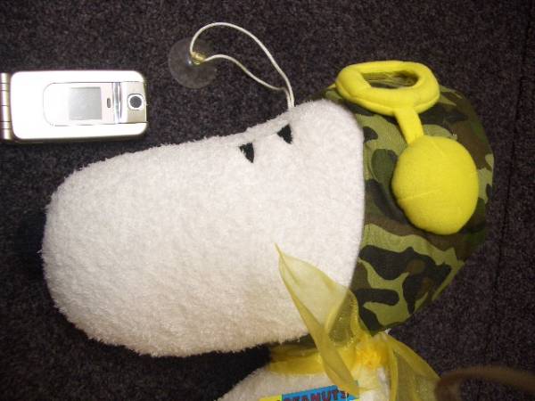 大きめスヌーピー ぬいぐるみ セット タオル地 Peanuts スヌーピー 売買されたオークション情報 Yahooの商品情報をアーカイブ公開 オークファン Aucfan Com