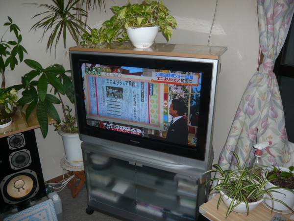 Panasonic TH-32D60ブラウン管テレビ【WIDE32型】(32インチ～)｜売買