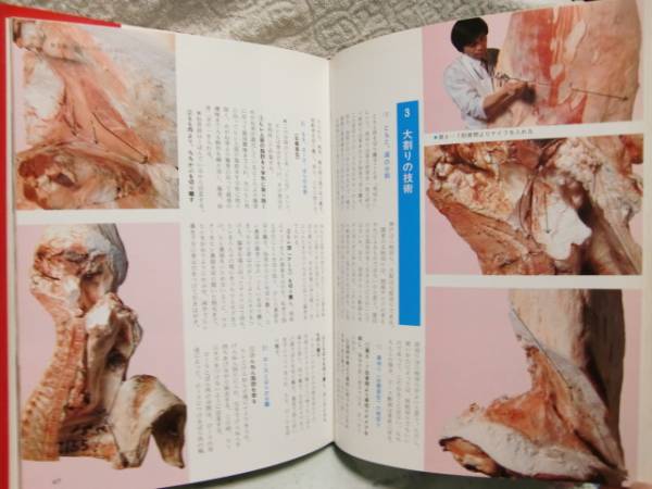 改訂 牛肉 The Beef1．☆森安常義：著/さばき方/プロ向き/技術本(洋食