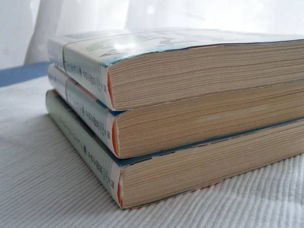 ■ブレイブストーリー★上中下巻セット★※中古品※■_3