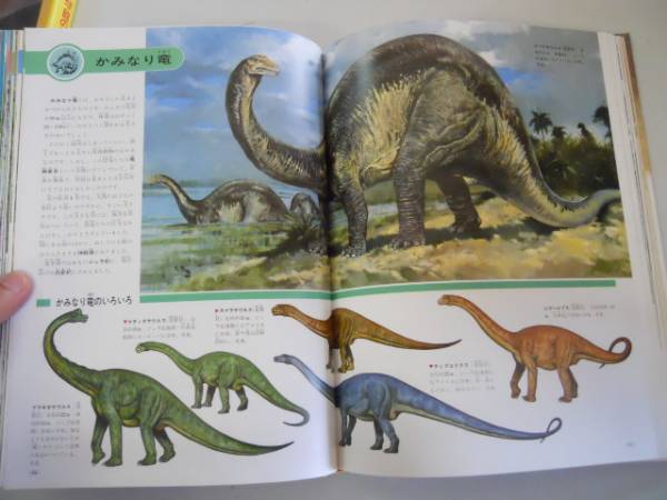 大むかしの生物 小学館の学習百科図鑑 恐竜始祖鳥マンモスか 図鑑 売買されたオークション情報 Yahooの商品情報をアーカイブ公開 オークファン Aucfan Com