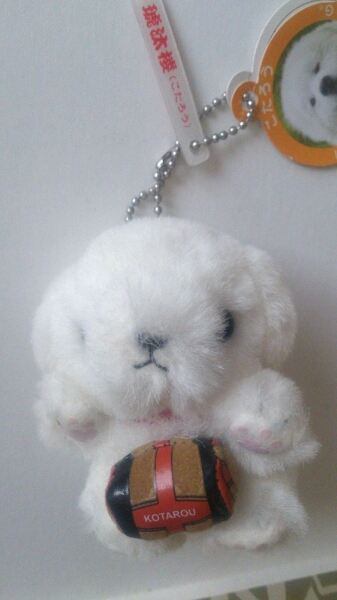 しあわせをはこぶしろいdog 琥汰楼 こたろう犬マスコット御守 イヌ一般 売買されたオークション情報 Yahooの商品情報をアーカイブ公開 オークファン Aucfan Com しあわせをはこぶしろいdog 琥汰楼 こたろう犬マスコット御守 イヌ一般 売買されたオークション情報 Yahooの商品情報をアーカイブ公開 オークファン Aucfan Com