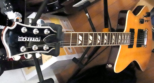 美品 シャチ 布袋 FERNANDES フェルナンデス VERTIGO ELITE