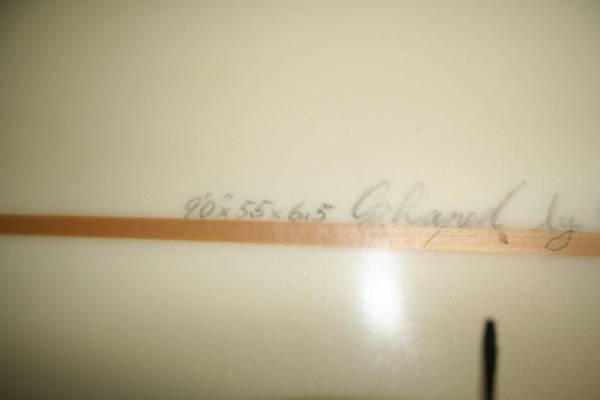 DICK BREWER 9.0 ハイパフォーマンス　トライフィン　初心者_3