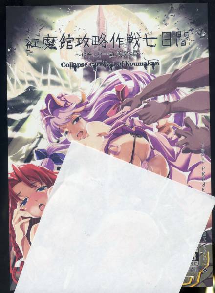 同人誌 東方 紅魔館攻略作戦七日間 パチュリー紅美鈴編 東方project 売買されたオークション情報 Yahooの商品情報をアーカイブ公開 オークファン Aucfan Com