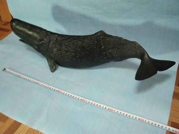 希少⭐︎海洋堂　マッコウクジラ フィギュア 黒 約65cm 原型制作:松村しのぶ 海洋堂 1/35 マッコウクジラ SpermWhale 松村しのぶ 全長約64cm(生き物