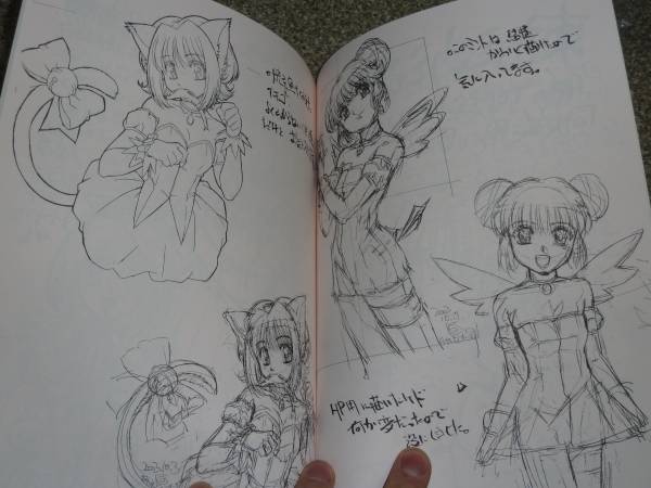 同人誌 石野聡原画集ゆ さわちょる 仮 2 東京ミュウミュウの入札履歴