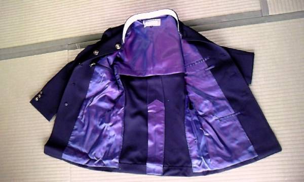 ☆変形学生服/着丈71/青紫玉虫☆4長ラン、中ラン、短ラン 