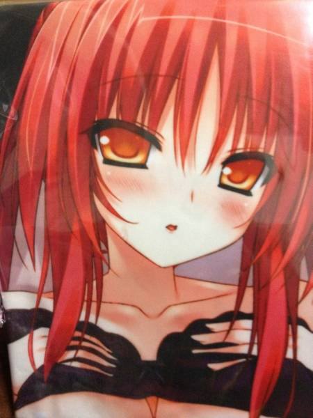 ぜったい最胸 おっぱい戦争 エストレア 抱き枕カバー 抱き枕 売買されたオークション情報 Yahooの商品情報をアーカイブ公開 オークファン Aucfan Com