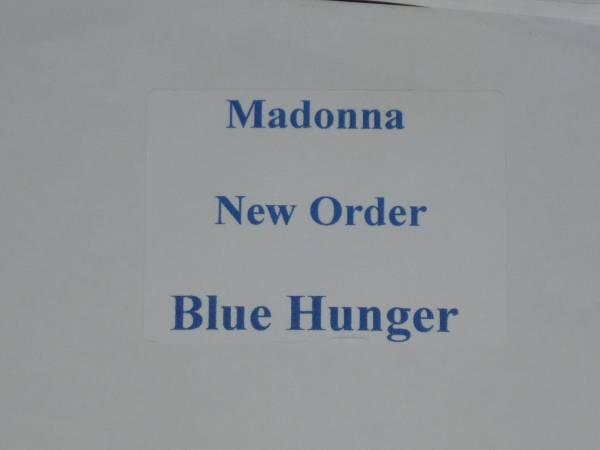 ★NEW ORDER vs MADONNA / BLUE HUNGER_2