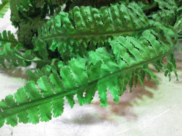 天2501造花 大量 シダの葉 葉 グリーン 観葉植物 葉っぱ飾り 一般 売買されたオークション情報 Yahooの商品情報をアーカイブ公開 オークファン Aucfan Com 天2501造花 大量 シダの葉 葉 グリーン 観葉植物 葉っぱ飾り 一般 売買されたオークション情報 Yahooの商品情報をアーカイブ公開 オークファン Aucfan Com