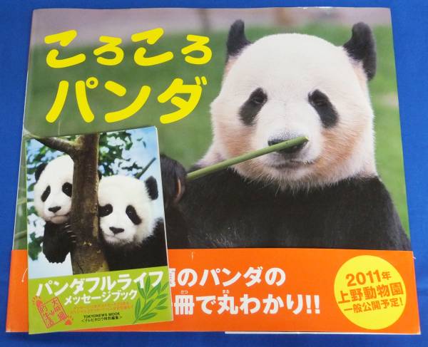 人気アイテム ころんころんパンダ 毛糸