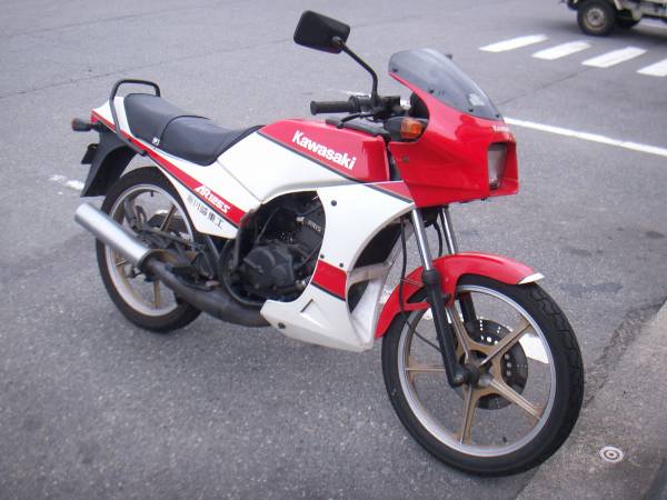 旧車　値段交渉可　希少　カワサキ　AR125S サイドカウル左右セット カワサキ・AR125S・水冷2サイクル・希少バイク(51cc-125cc)｜売買され