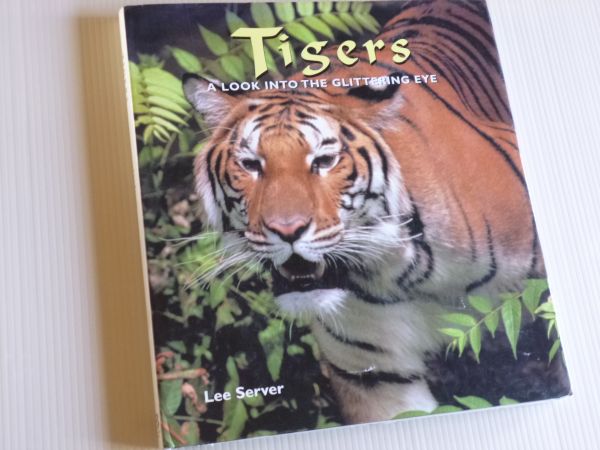 洋書 トラ 写真集 虎 Tigers ホワイトタイガー 仔虎 生物学 売買されたオークション情報 Yahooの商品情報をアーカイブ公開 オークファン Aucfan Com
