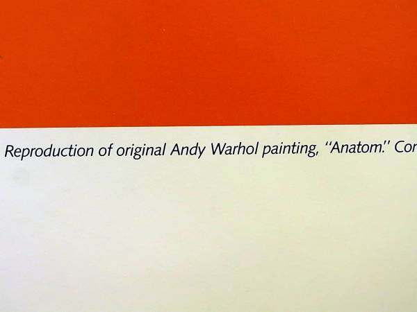 アンディ ウォーホル RADO Anatom ポスター 1987 Andy Warhol(ポスター)｜売買されたオークション情報、yahooの ...