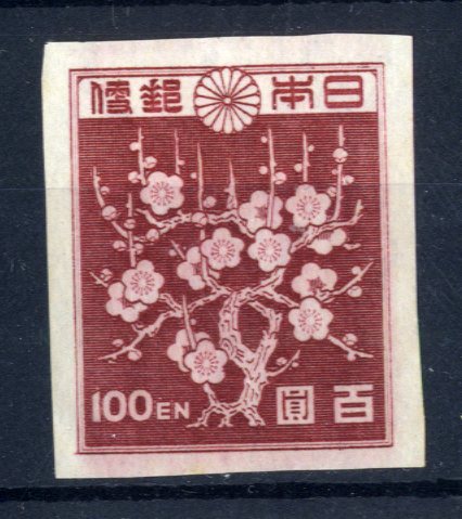 o213840507.2