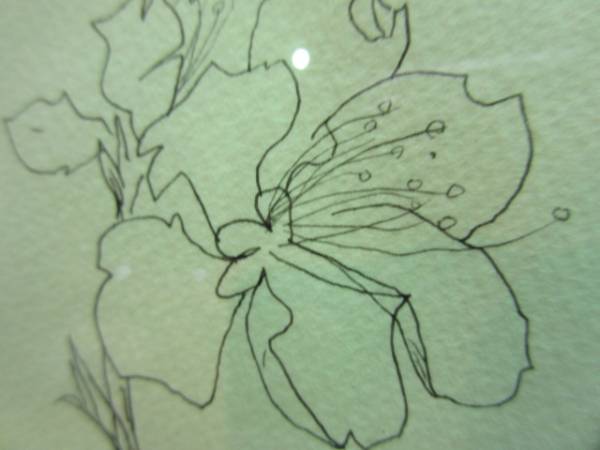 花4額装 リトグラフ 岩井中敬二 桜 デッサン 絵画 額縁 石版画 リトグラフ 売買されたオークション情報 Yahooの商品情報をアーカイブ公開 オークファン Aucfan Com