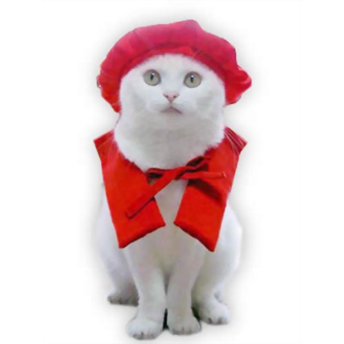 ビバ還暦だにゃん 猫服・コスプレ 赤いちゃんちゃんこ(服)｜売買された
