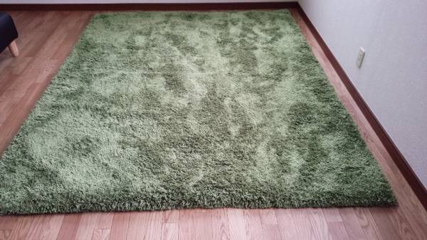 中古　200mm × 250mm 美品　カーペット_1