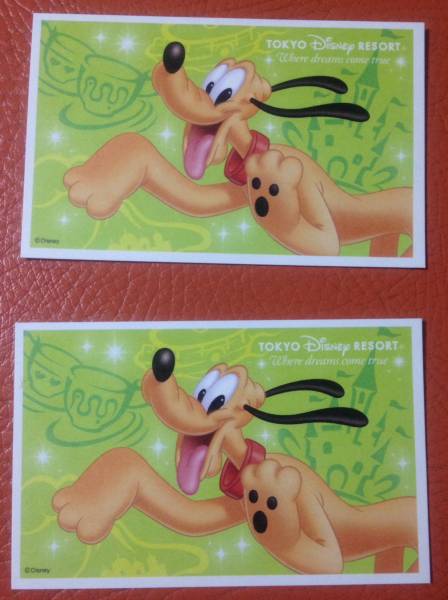 東京ディズニーランド・シー共通 パスポート 大人２枚 送料込