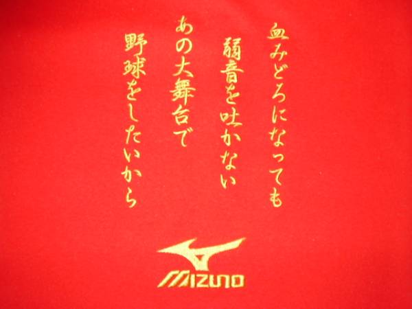 ★ミズノ・刺繍入りグラブ袋/ＲＧ_2
