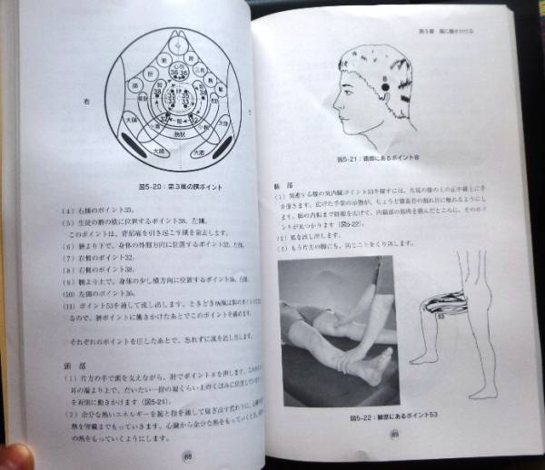 ヒーリング・タオ 『気内臓療法Ⅱ』 （風の追撃）□ 謝明徳