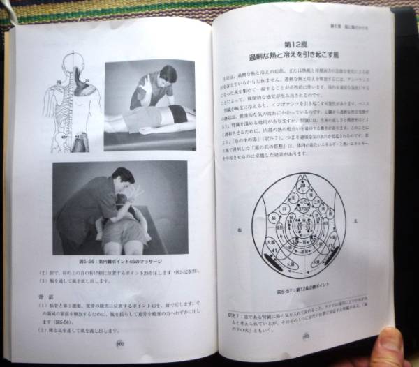 本 気内臓療法Ⅱ 風の追撃 マンタク•チャ 謝明徳