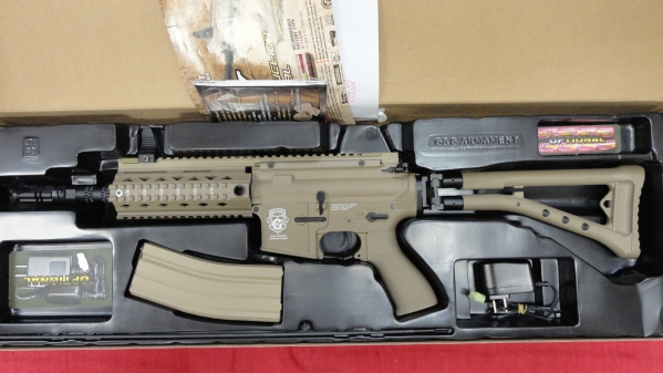 G&G 電動ガン GR4 100Y DST