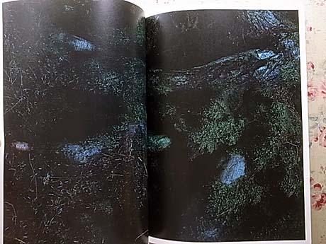 QUINAULT 上田義彦写真集 初版 Quinault（First Edition, Signed