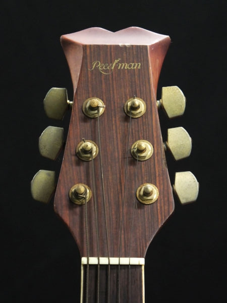 ☆REED MAN RM-501 エレアコギター☆現状品☆(本体)｜売買された 