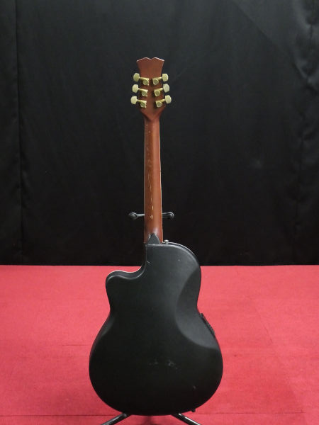 ReedMan リードマン エレクトリックアコースティックギター RM-501