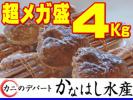 カニデパ1円超大盛本ズワイガニ5尾4Kg詰[3]蟹姿生冷☆年末年始OK