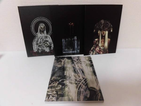再定義 THE GAZETTE DVD 完全版 ◇DVD ガゼット the GazettE 再定義 COMPLETE BOX◇FC限定