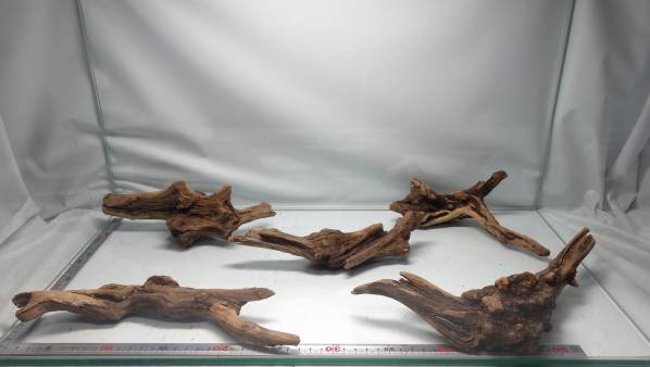 A Style 天然流木 Mサイズ5個セット アク抜き済 No3 1円st初売り 水槽装飾品 売買されたオークション情報 Yahooの商品情報をアーカイブ公開 オークファン Aucfan Com