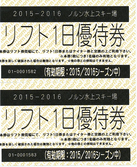 ノルンみなかみスキー場リフト1日優待券2枚 高鷲スノーパーク Dynaland