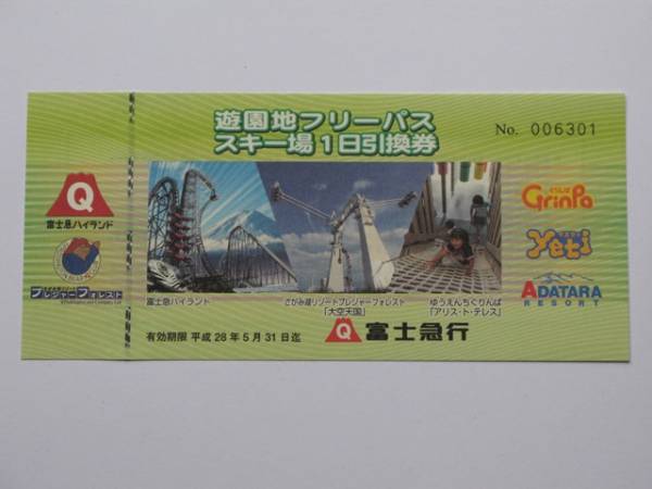富士急ハイランド チケット フリーパス 2枚 富士急ハイランド フリー