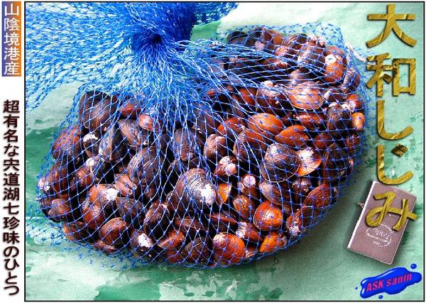 (3)宍道湖七珍味「大和しじみ1kg」〓汽水育ちの別格な味わい〓_1