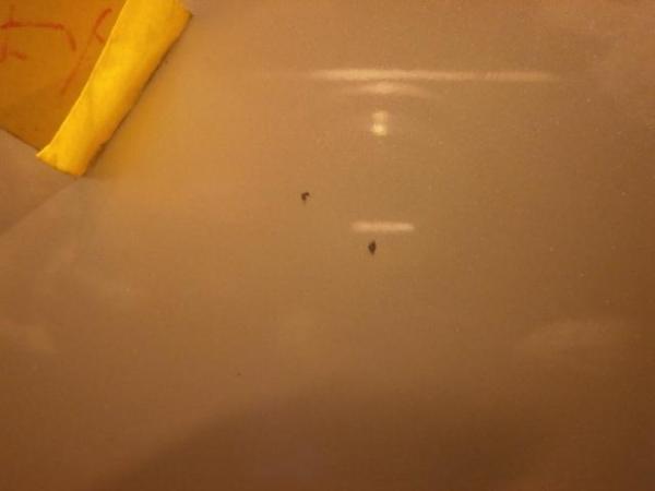 岐阜発★ノート　E11　ボンネットフード