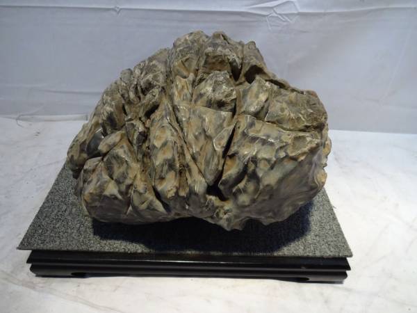 水石 名石 美石 鑑賞石 （亀甲石） 金山産 自然石 亀甲石 鑑賞